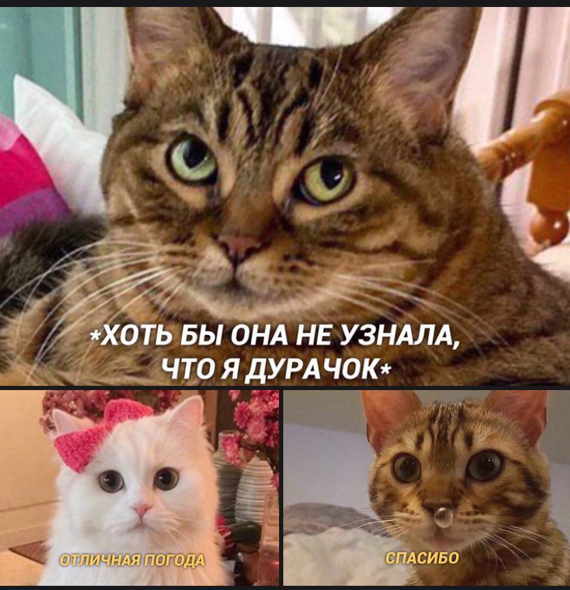 (((((