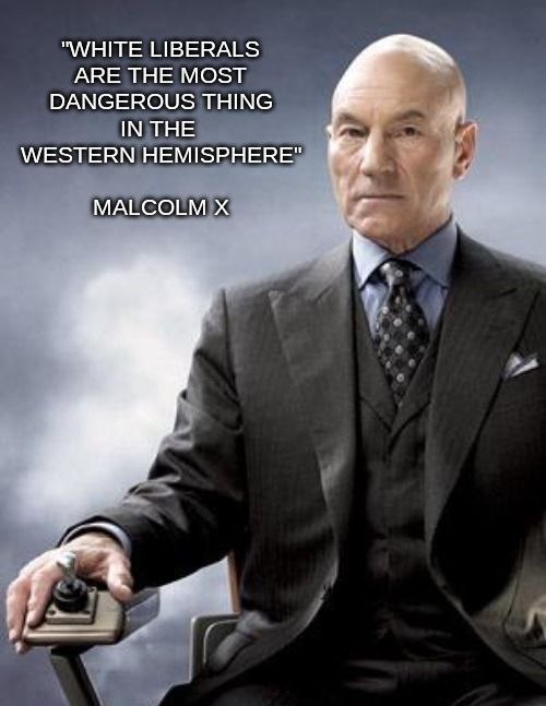 "WHITE LIBERALS ARE THE MOST DANGEROUS THING IN THE WESTERN HEMISPHERE" MALCOLM
