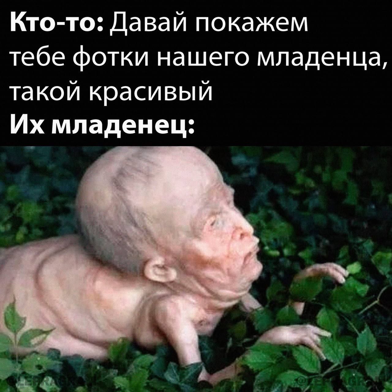 Кто-то: Давай покажем тебе фотки нашего младенца, такой красивый младенец: