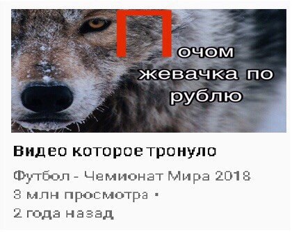 жевачка по рублю Видео которое тронуло Чемыюнат Мира 2018 3 млн просмотра года назад