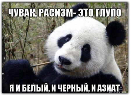 ЧУВАК, РАСИЗМ- ЭТО ГЛУПО ЯИБЕЛЫЙ, И ЧЕРНЫЙ, И АЗНАТ