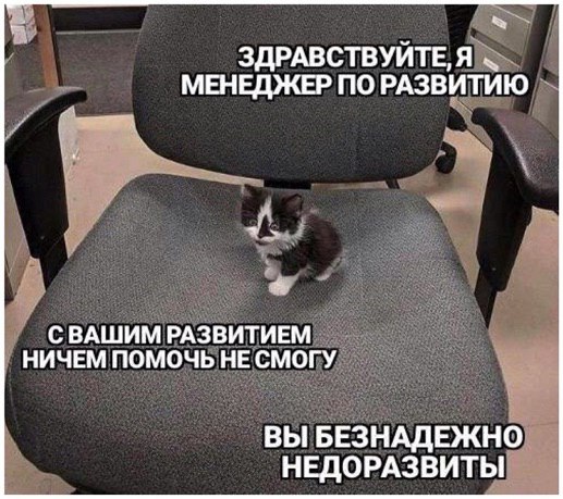 ЗДРАВСТВУЙТЕ, Я МЕНЕДЖЕР ПО РАЗВИТИЮ СВАШИМ РАЗВИТИЕМ НИЧЕМ ПОМОЧЬ НЕ СМОГУ ВЫ БЕЗНАДЕЖНО НЕДОРАЗВИТЫ