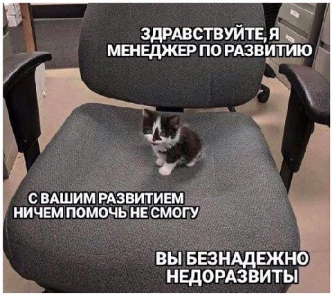 ЗДРАВСТВУЙТЕ, Я МЕНЕДЖЕР ПО РАЗВИТИЮ СВАШИМ РАЗВИТИЕМ НИЧЕМ ПОМОЧЬ НЕ СМОГУ ВЫ БЕЗНАДЕЖНО НЕДОРАЗВИТЫ