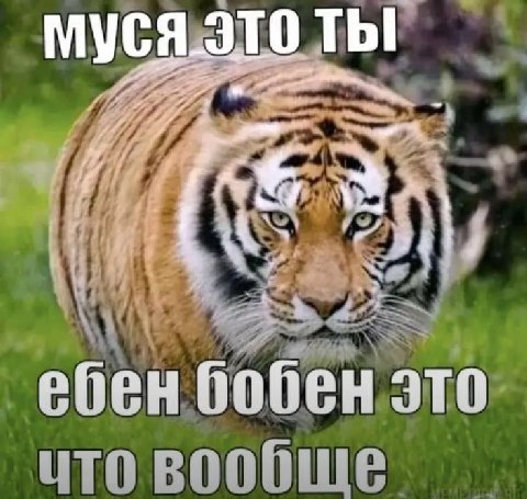 ТЫ! ебен бобен это