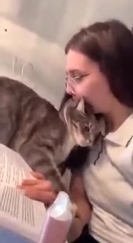 мем