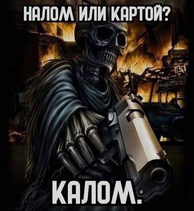 НАЛОМ ИЛИ КАРТОЙ? КАЛОМ.