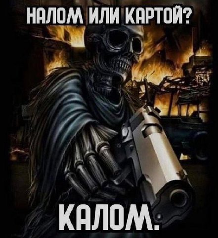 НАЛОМ ИЛИ КАРТОЙ? КАЛОМ.