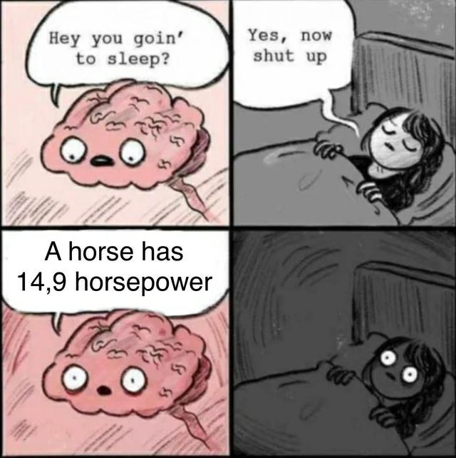 Hey you goin’ Yes, now shut up to sleep? А horse has 14,9 As
