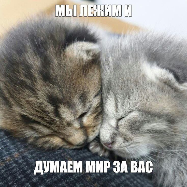 к ДУМАЕМ МИР ЗА BAC