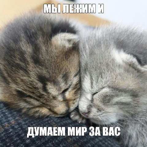 к ДУМАЕМ МИР ЗА BAC