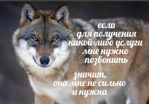 если для получения Какой-лидо услуги поэбонить значит, не сильно