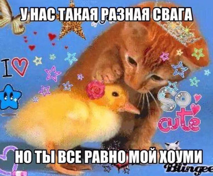 УНАС ТАКАЯ РАЗНАЯ СВАГА 2 НОТЫ ВСЕ и