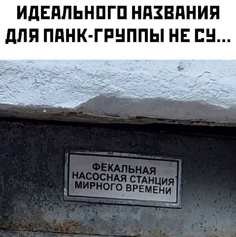 ИДЕАЛЬНОГО НАЗВАНИЯ ДЛЯ ПАНК-ГРУППЫ НЕ