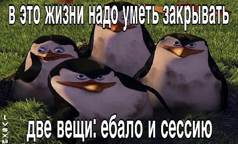 жизни уметь закрывать ебало и сессию