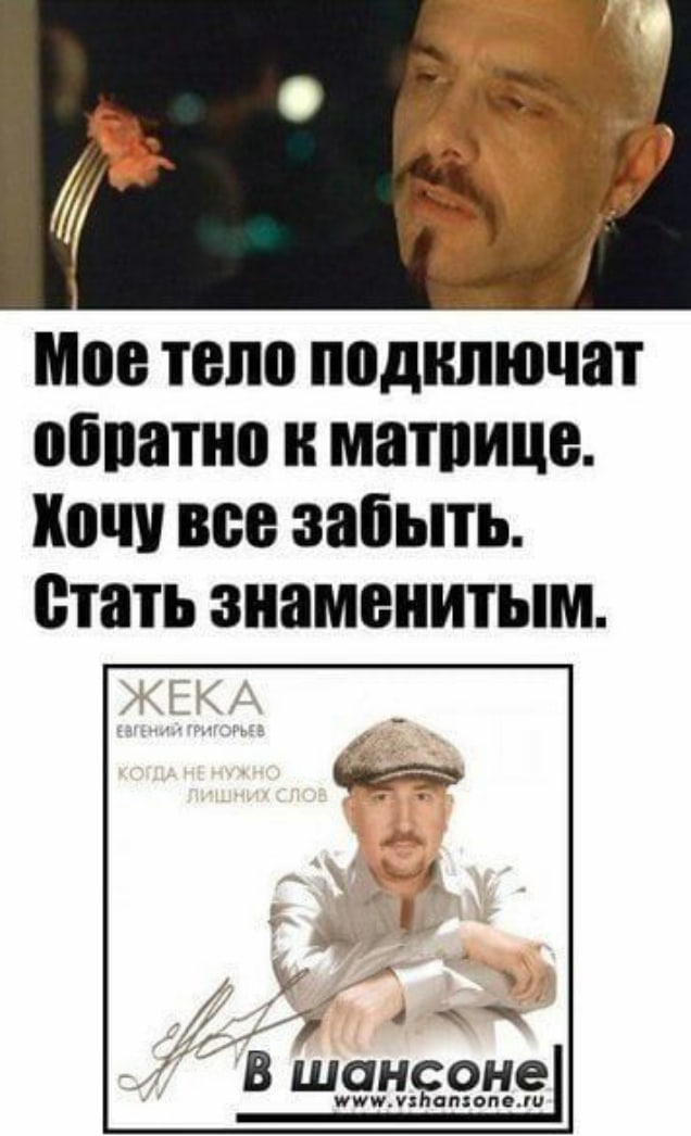 Мое тело подключат обратно к матрице Хочу все забыть Стать знаменитым шансоне|
