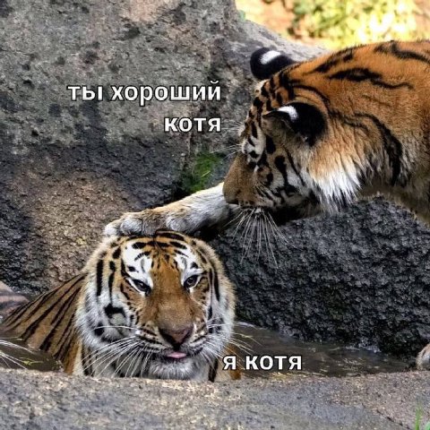 ты хороший КОТЯ `я котя