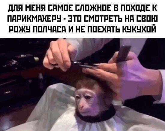 ДЛЯ МЕНЯ САМОЕ СЛОЖНОЕ. В ПОХОДЕ К ПАРИКМАХЕРУ ЭТО СМОТРЕТЬ НА СВОЮ РОЖУ ПОЛЧАСА И НЕ ПОЕХАТЬ КУКУХОЙ we