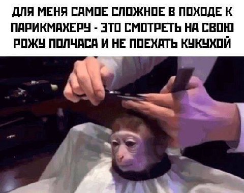 ДЛЯ МЕНЯ САМОЕ СЛОЖНОЕ. В ПОХОДЕ К ПАРИКМАХЕРУ ЭТО СМОТРЕТЬ НА СВОЮ РОЖУ ПОЛЧАСА И НЕ ПОЕХАТЬ КУКУХОЙ we