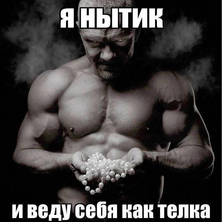 Я НЫТИК иведу себя как телка