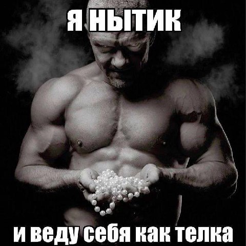 Я НЫТИК иведу себя как телка