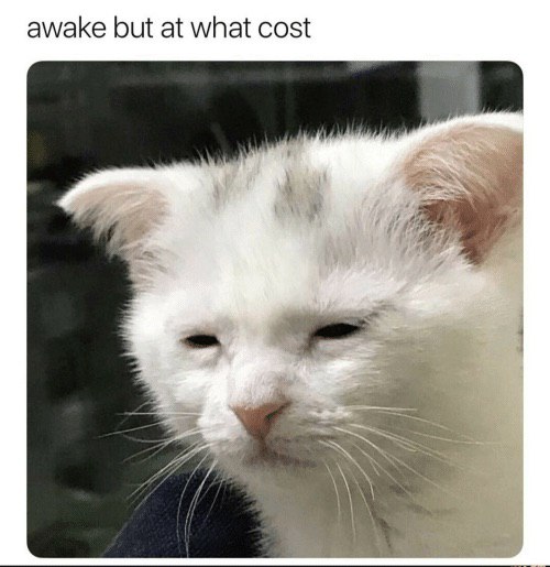 awake but at what cost