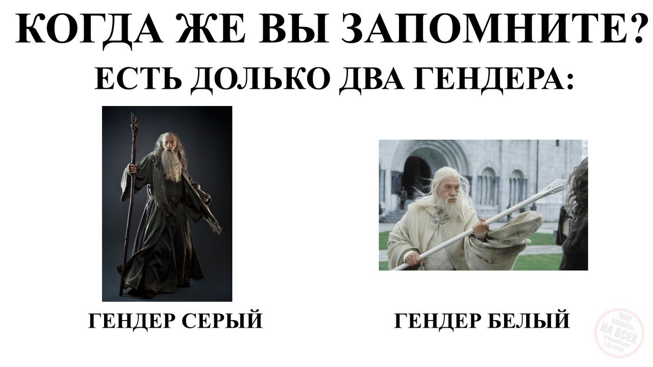...два веселых гуся