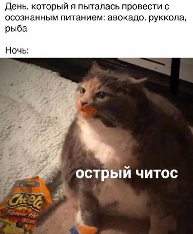 День, который я пыталась провести с осознанным питанием: авокадо, руккола, рыба Ночь: rae острый читос