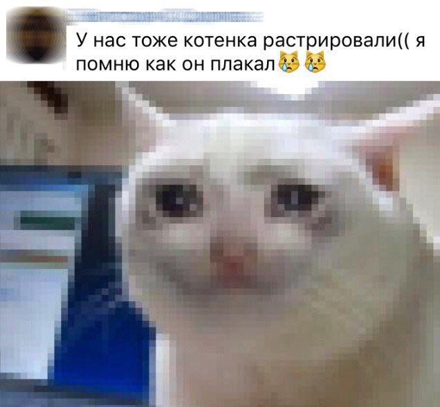 тоже котенка растрировали(( я помню как он плакал 43 45 я