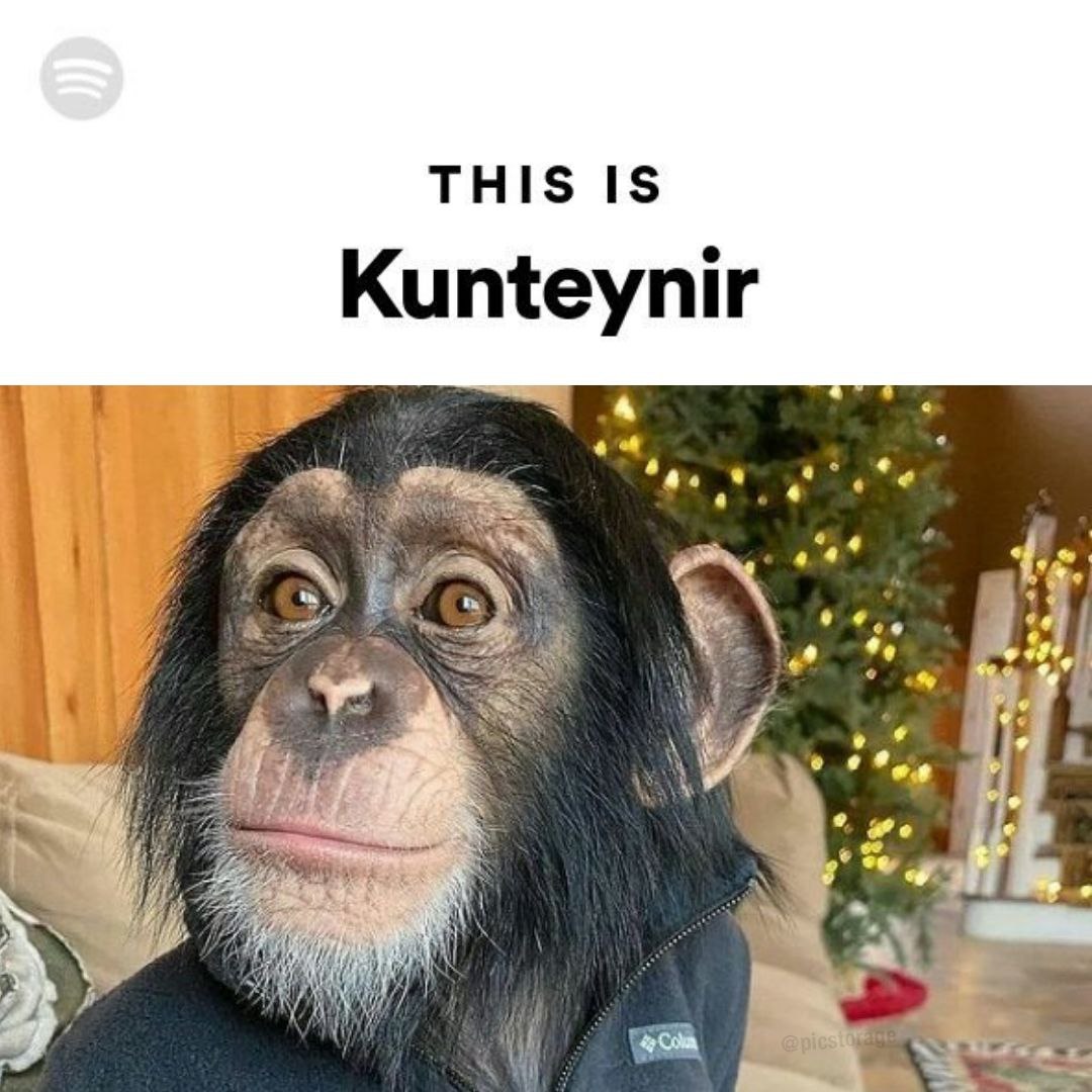 Kunteynir 4 4 ALAR 7 a's 4 we