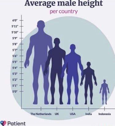 Average male height per country 5'11 5'10 5'8 у 5'6 5'4 5'3* 51 50° USA India indonesia Patient