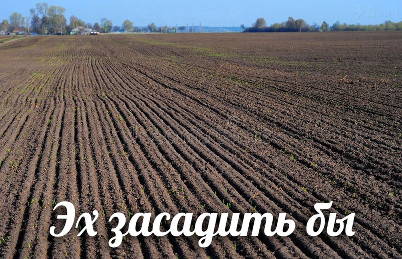засадить