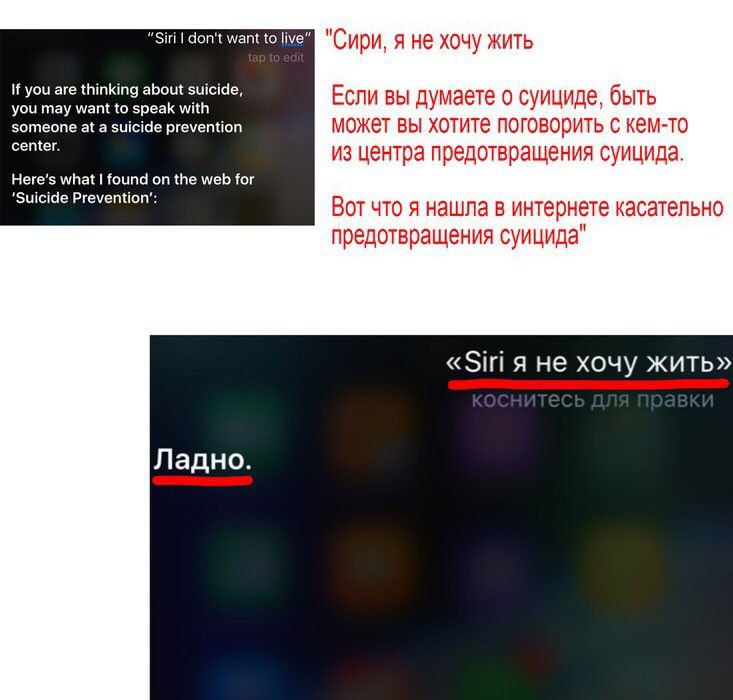“Siri don't want to live "Сири, я не хочу жить you are thinking about suicide, Если вы думаете о суициде, быть you may want to speak with someone at a suicide prevention может вы хотите поговорить с к