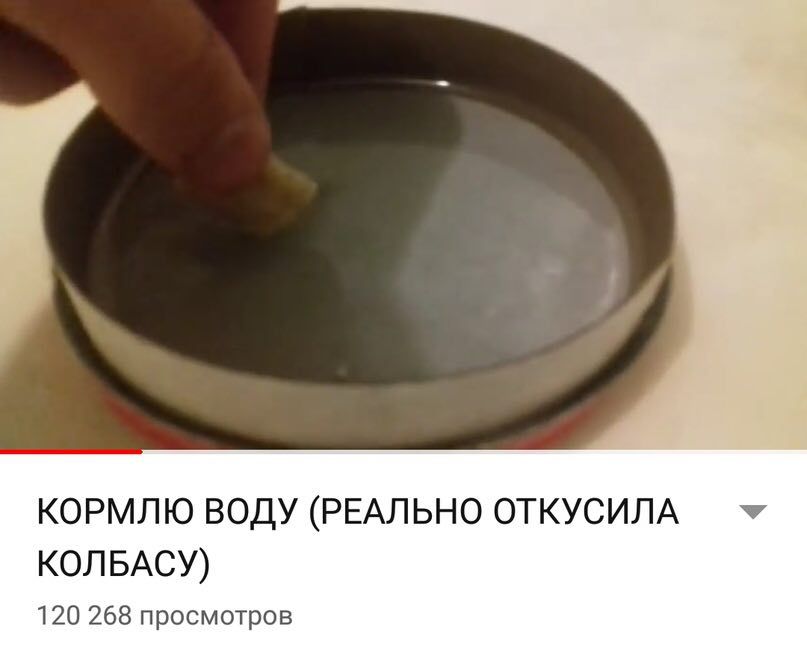 КОРМЛЮ ВОДУ (РЕАЛЬНО ОТКУСИЛА КОЛБАСУ) 120 268 просмотров