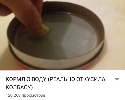 КОРМЛЮ ВОДУ (РЕАЛЬНО ОТКУСИЛА КОЛБАСУ) 120 268 просмотров