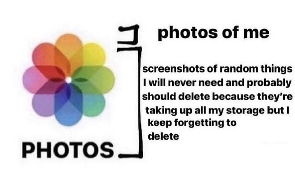 photos of me screenshots of random things will never need and probably should delete because taking up all my storage but keep forgetting to delete PHOTOS