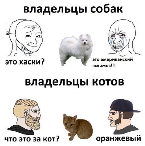 владельцы собак это хаски? эскимос!!! это американский владельцы котов что это за KOT?