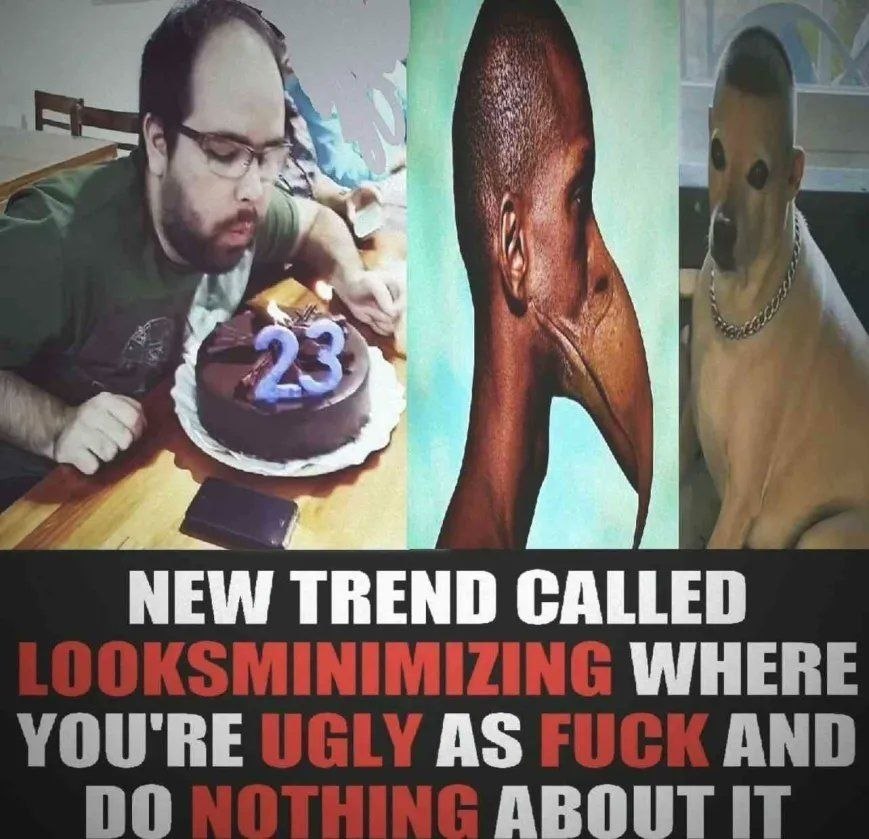 23 NEW TREND CALLED WHE AS