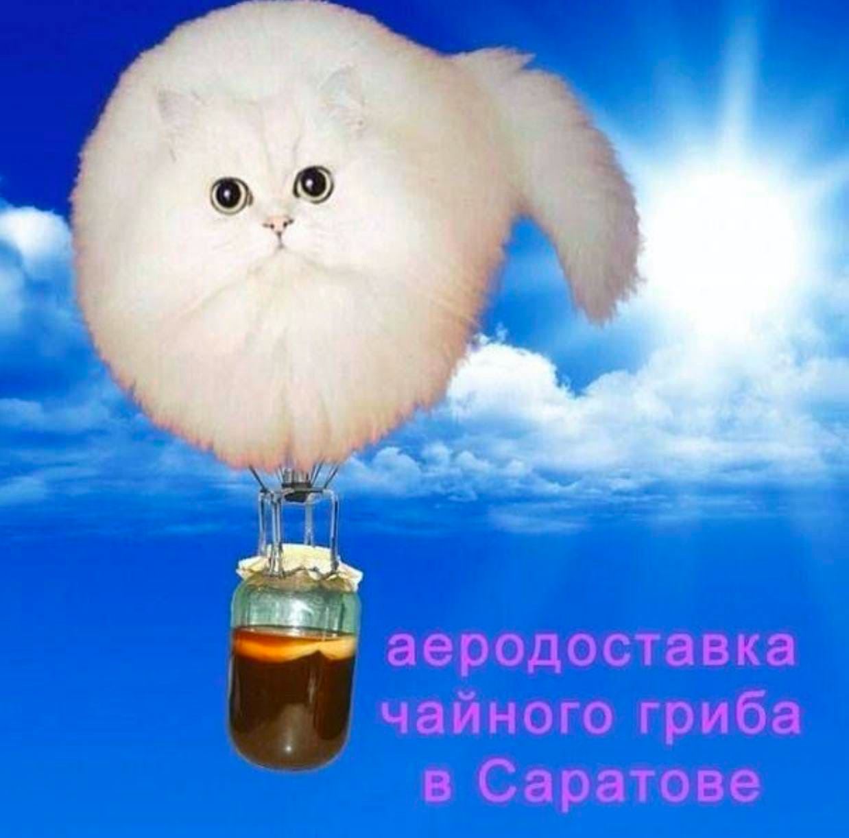 о