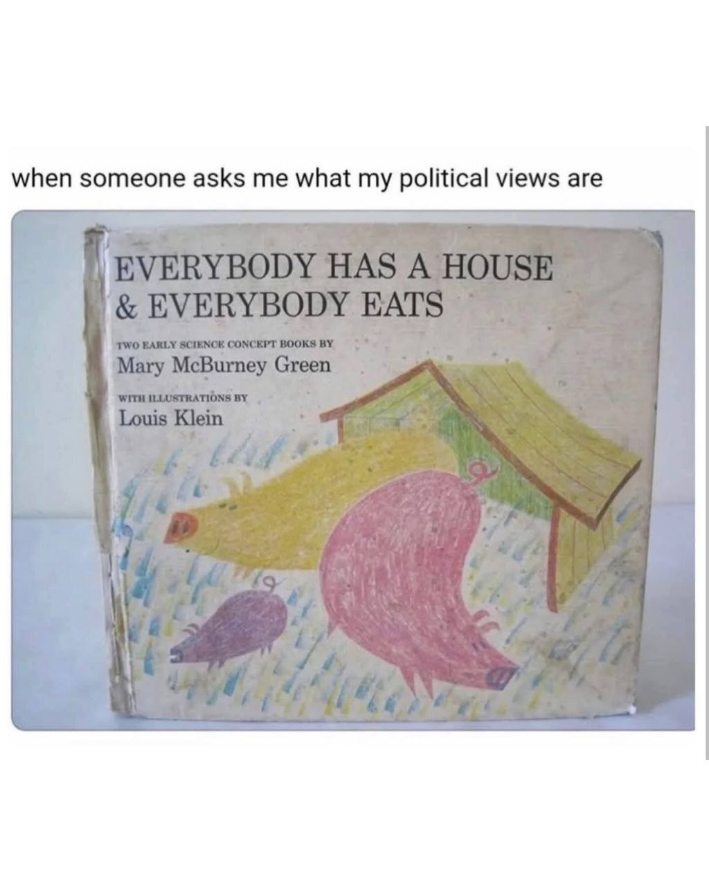 when someone asks me what my political views are