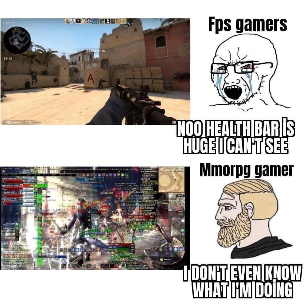 Fps gamers Mmorpg gamer