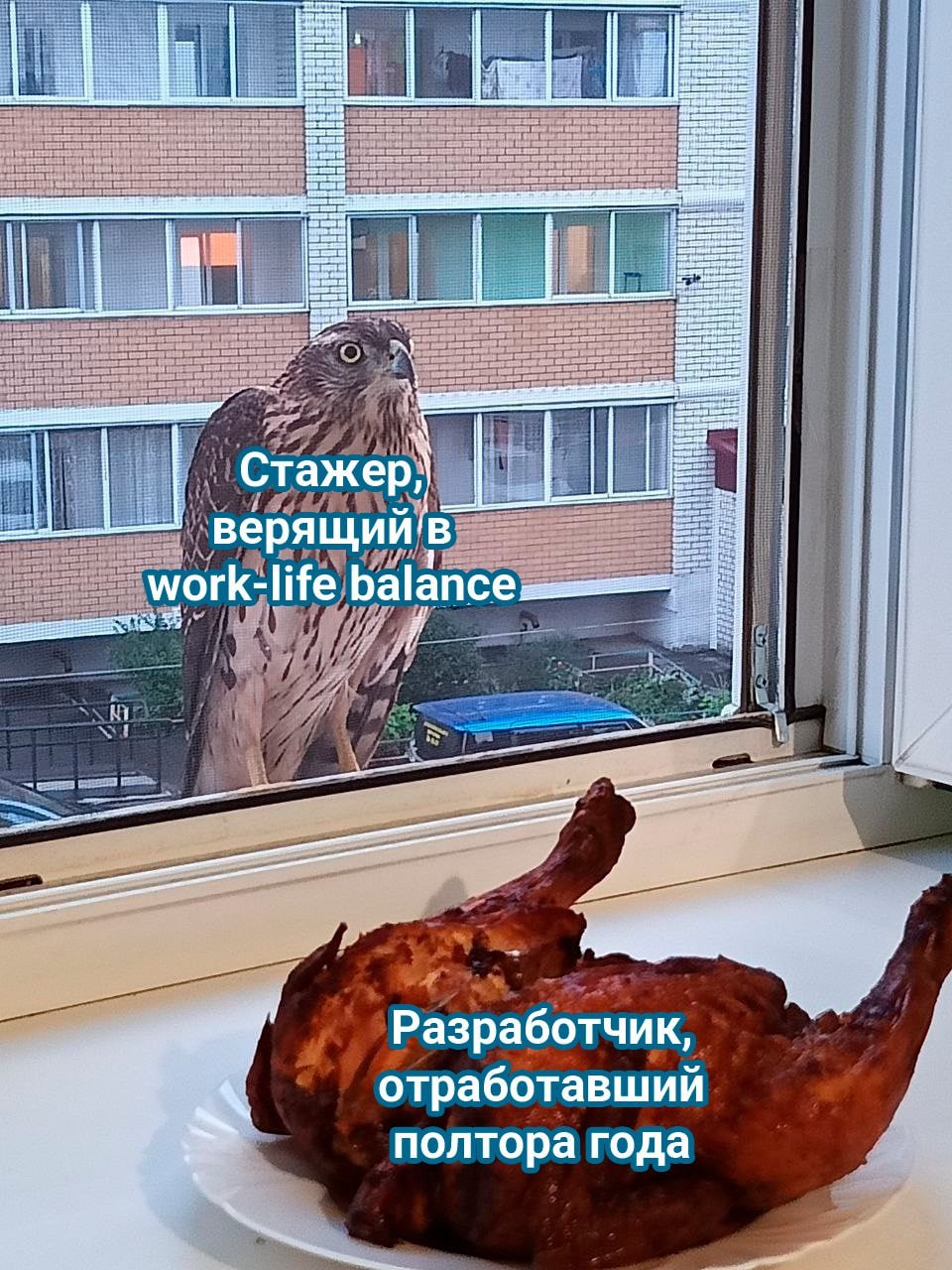 if Стажер] верящий!' work-life Разработчик отработавший полтора года