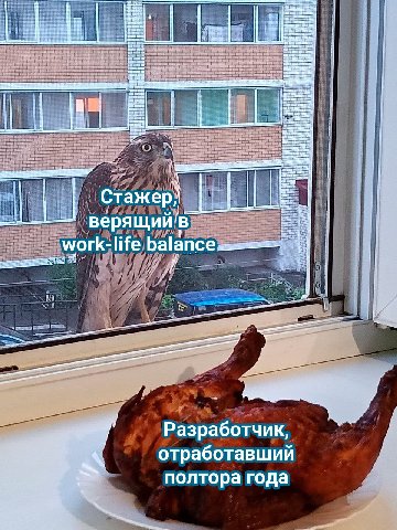 if Стажер] верящий!' work-life Разработчик отработавший полтора года