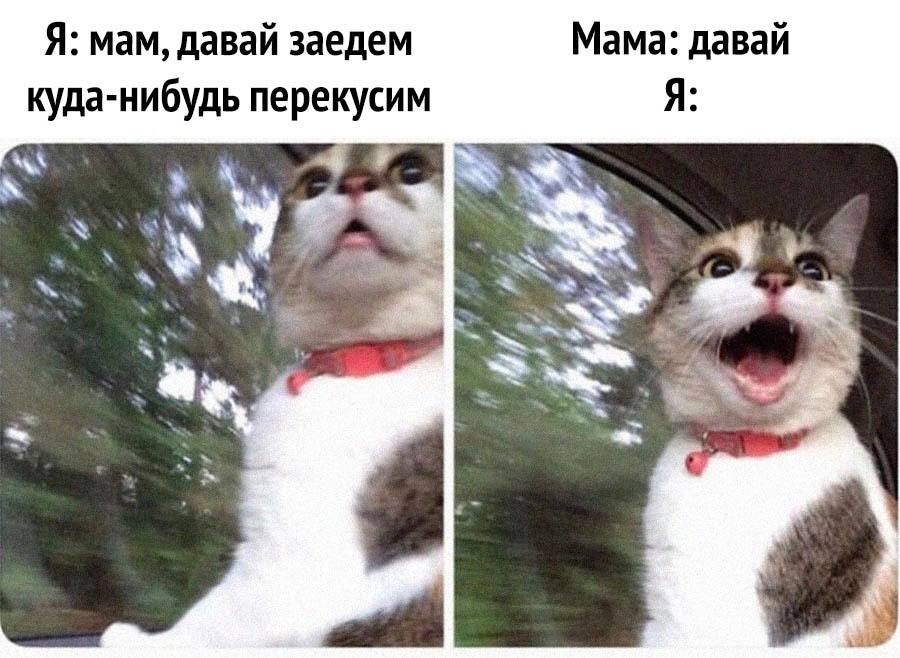 Я: мам, давай заедем Мама: давай а-нибудь перекусим