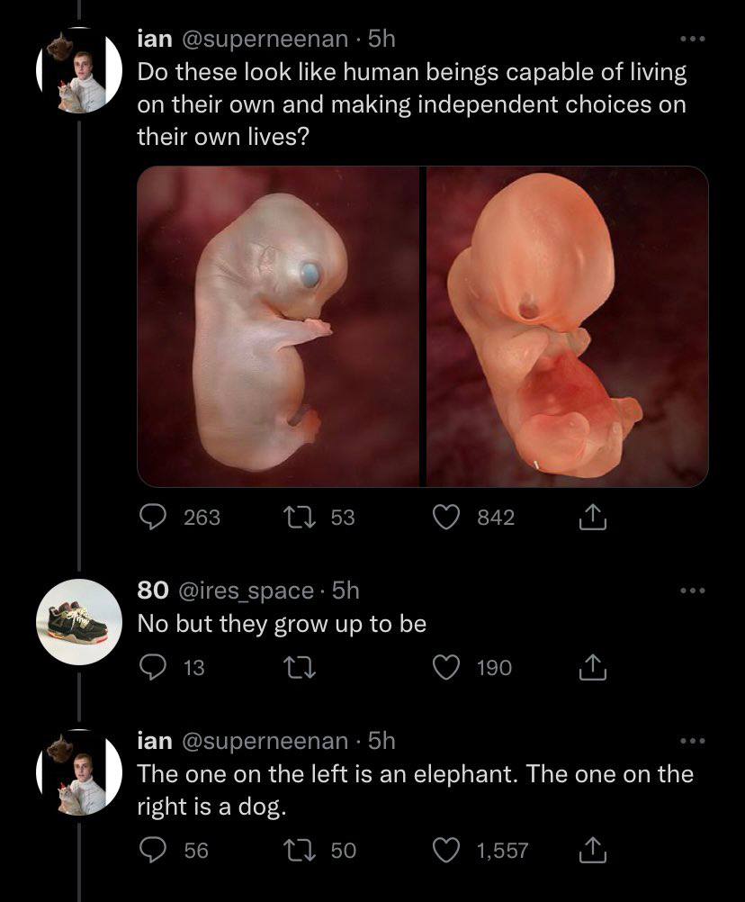 ian @superneenan 5) these look like human beings capable of living on their own and making independent choices on their own lives? 263 1} 53 842 80 5расе No but they grow up to be С 13 190 ian @supern