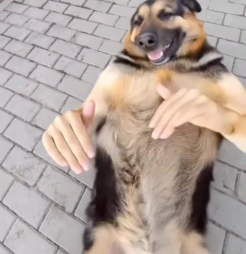 и