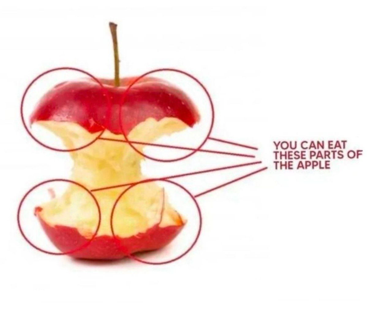 YOU CAN EAT THESE PARTS OF THE APPLE