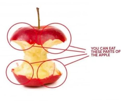 YOU CAN EAT THESE PARTS OF THE APPLE