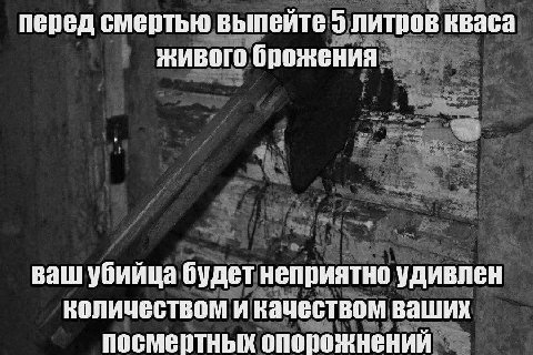 перед смертью выпейте 5 литров кваса живого брожения ваш убийца будет неприятно удивлен количеством и качеством ваших посмертных опопожнений