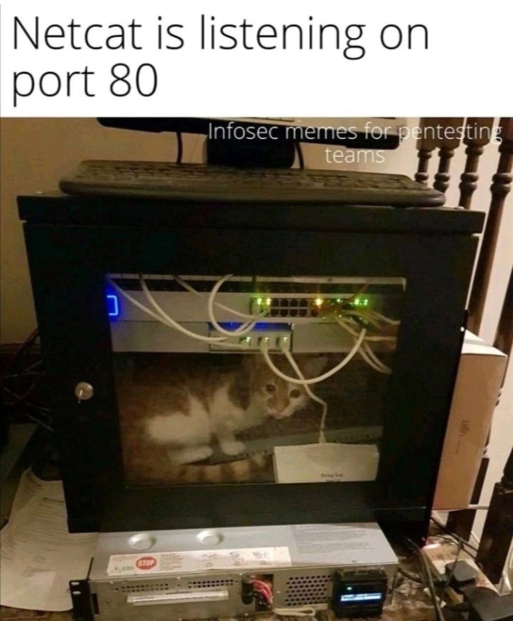 Netcat is listening on port 80