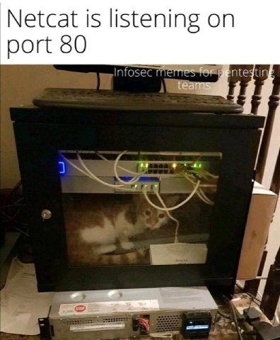 Netcat is listening on port 80